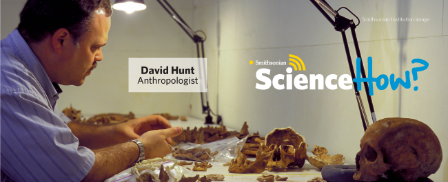 Live Webcast with David Hunt: Mummy Science