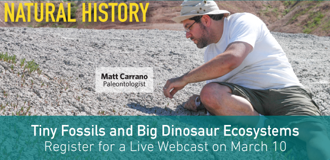 March 2016 at Natural History - Paleontology Webcast