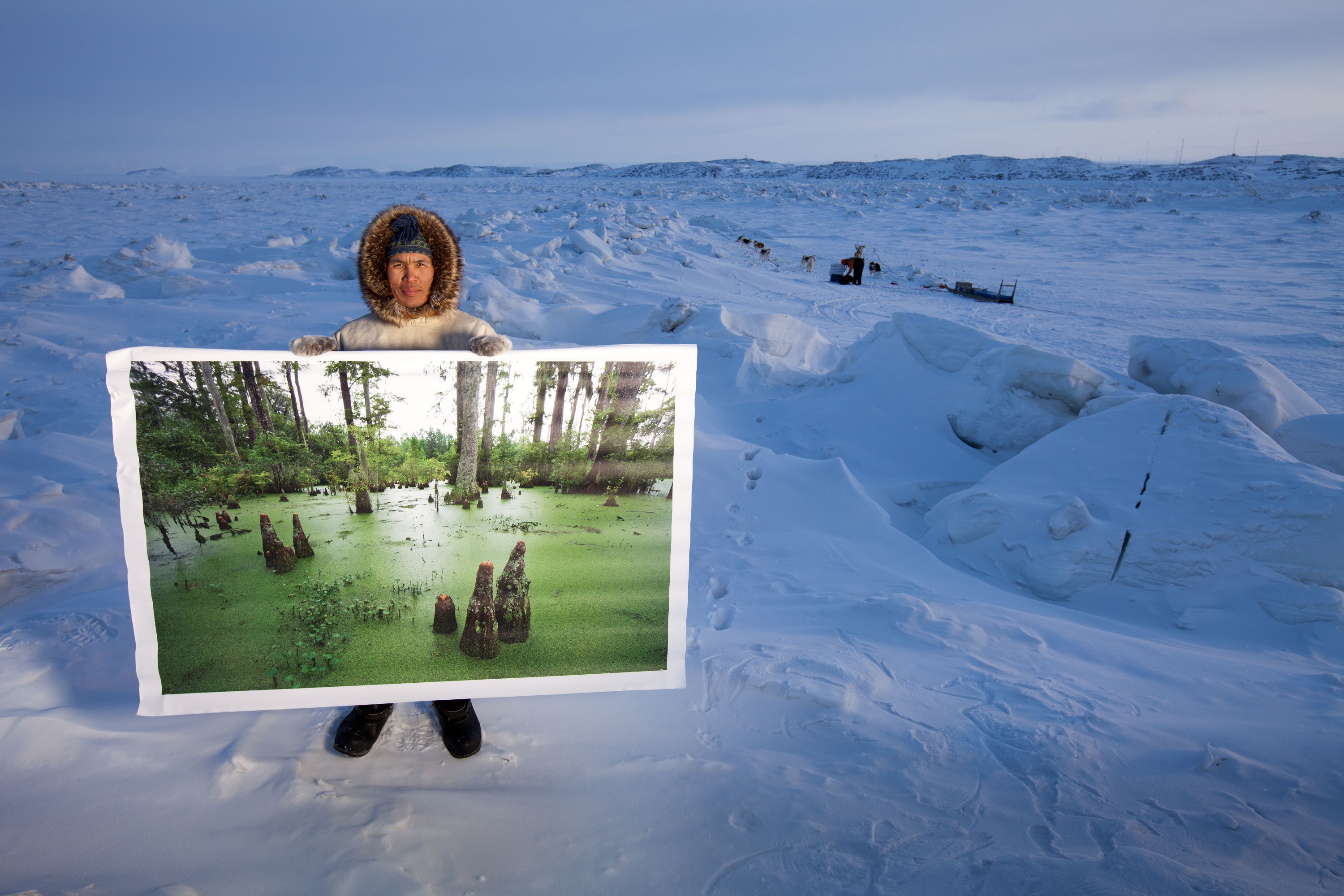 Man in snowy Arctic with painting of green ancient ecosystem