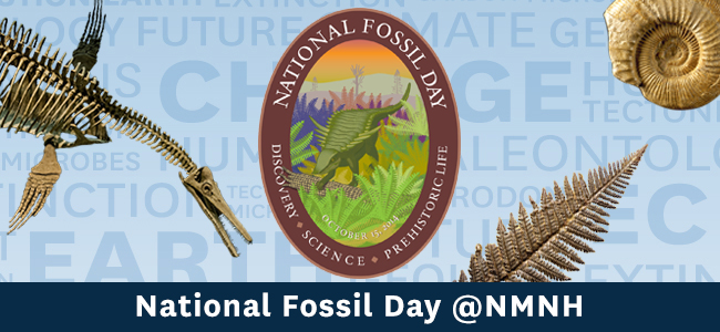 National Fossil Day