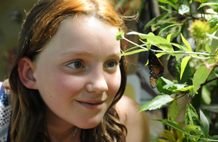 Girl in Butterfly Pavilion