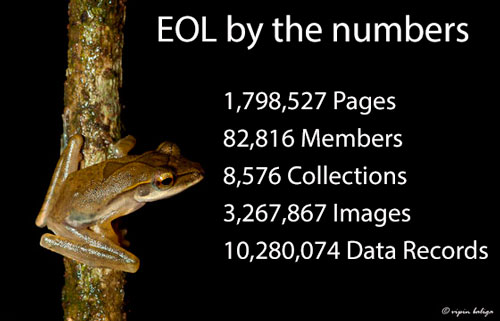 EOL by the Numbers