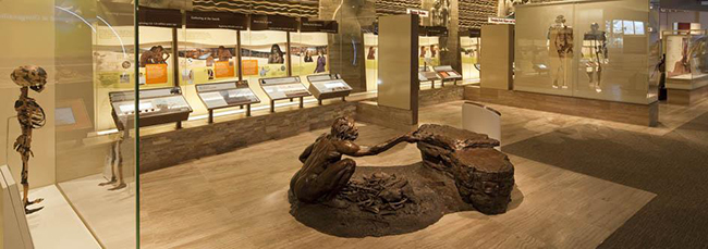 Exhibition in the Hall of Human Origins