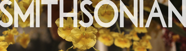 Smithsonian Title with Orchid Background