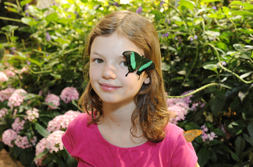 Girl with Emerald Swallowtail butterfly on her forehead