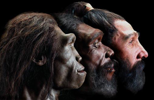 Hall of Human Origins