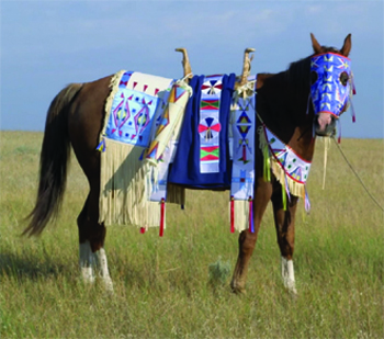 image of a horse with Lakota tack