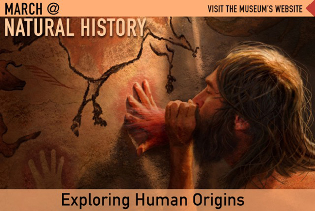 March Banner 2015 - Exploring Human Origins