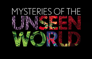 Mysteries of the Unseen World 3D