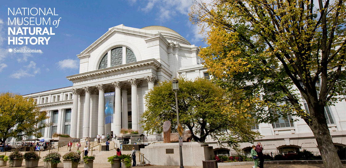 National Museum of Natural History