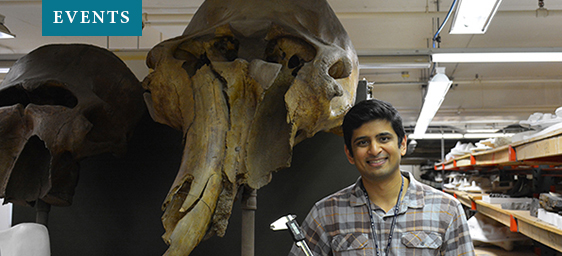 Events - Forgotten Elephants with Advait Jukar