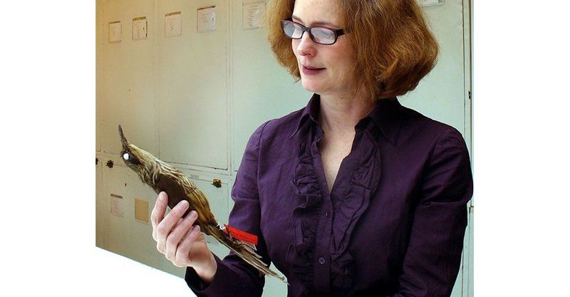 A woman with brown hair and glasses holds a bird specimen