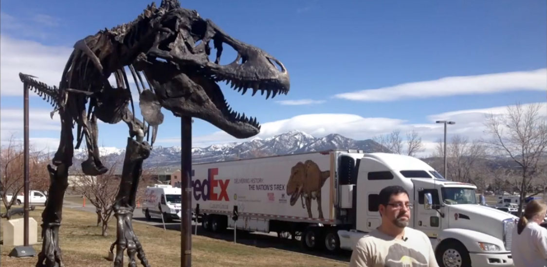 Transporting the T. rex skeleton