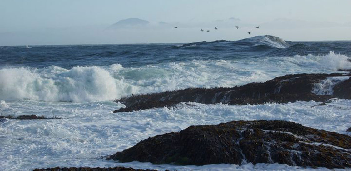 Ocean Waves