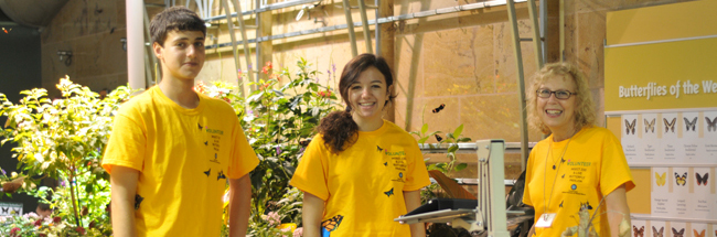 Volunteers in the Live Butterfly Pavilion