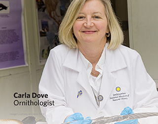 Dr. Carla Dove