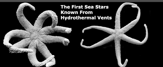 First Sea Stars Known from Hydrothermal Vents