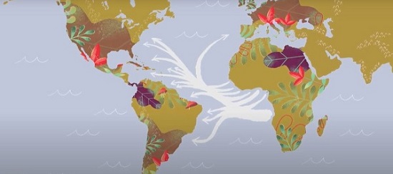 Latinx diaspora video still