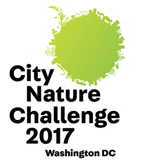 City Nature Challenge -iNaturalist Mall Crawl