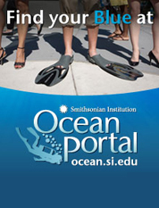 Ocean Portal